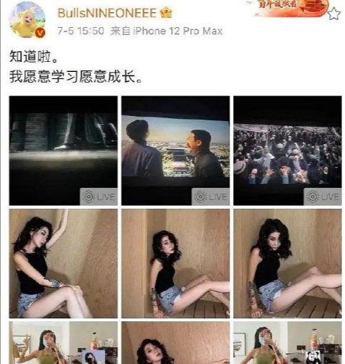 电影区国产盗摄在线,揭秘网络盗版电影产业链