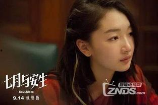 国产亚洲女同在线播放,细腻情感与独特视角的视听盛宴