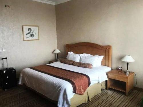 超清酒店国产在线,探索国内高品质住宿新体验